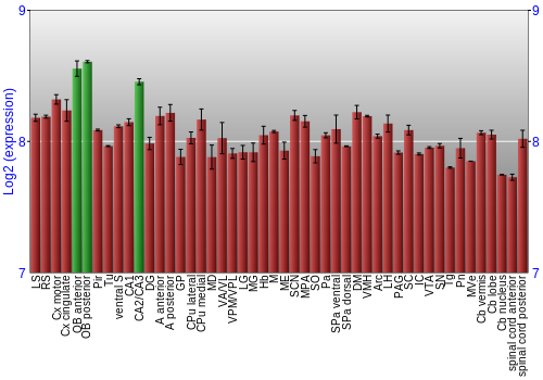 Multi-state expression graph