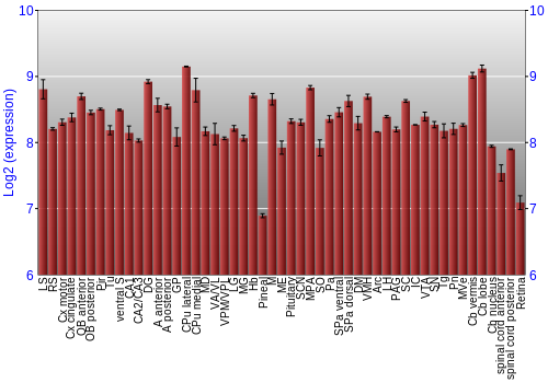Expression graph