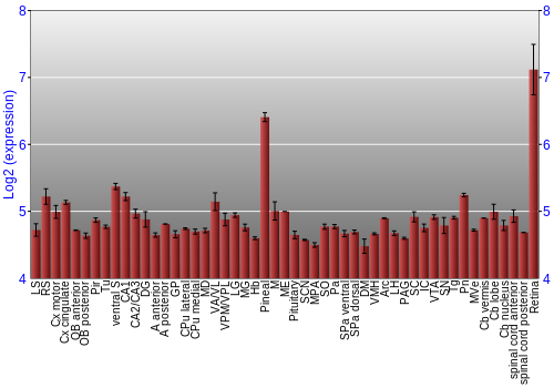Expression graph
