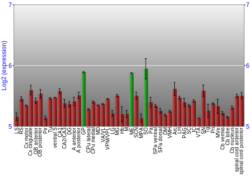 Multi-state expression graph