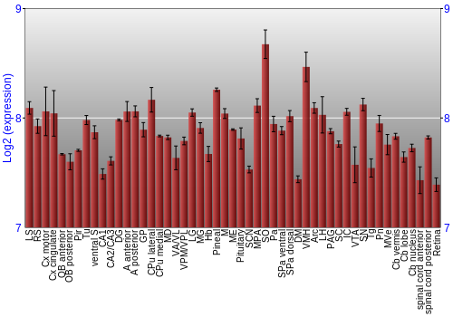 Expression graph