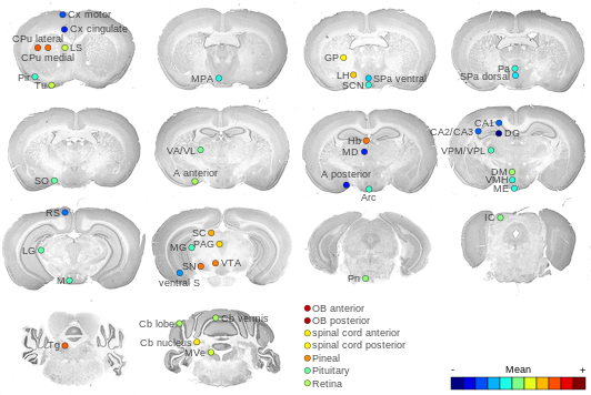 Expression map