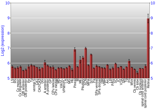 Expression graph