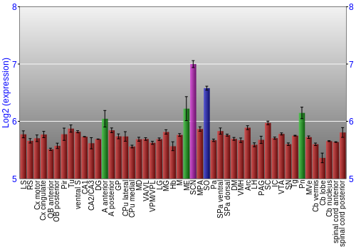 Multi-state expression graph