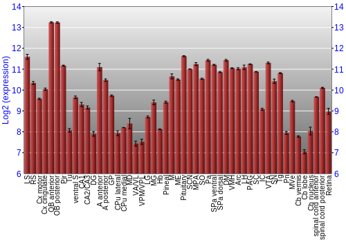 Expression graph