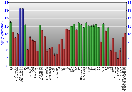 Multi-state expression graph