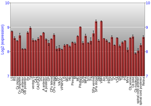 Expression graph