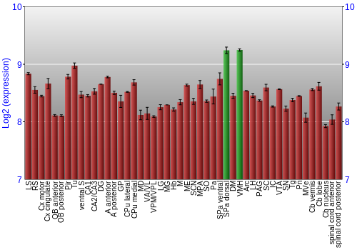 Multi-state expression graph