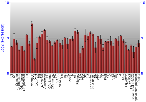 Expression graph