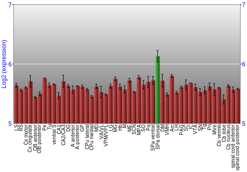 Multi-state expression graph