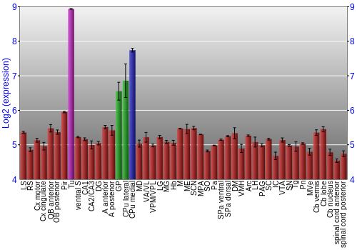 Multi-state expression graph