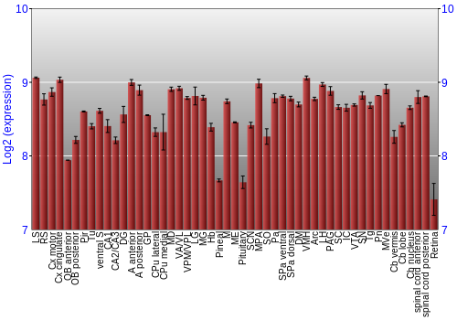 Expression graph