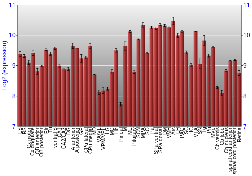 Expression graph