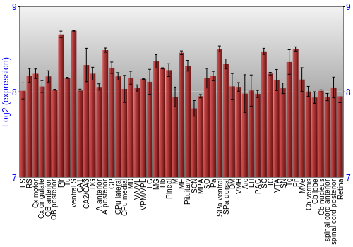 Expression graph