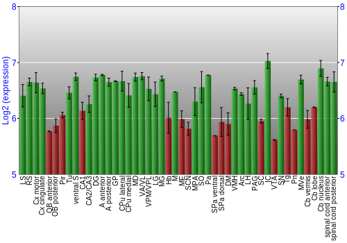 Multi-state expression graph