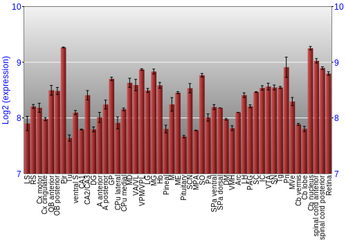 Expression graph