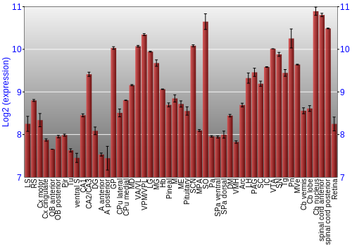 Expression graph