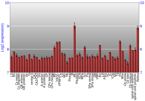 Expression graph