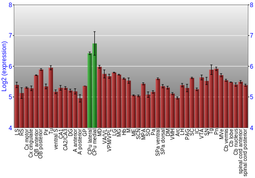 Multi-state expression graph