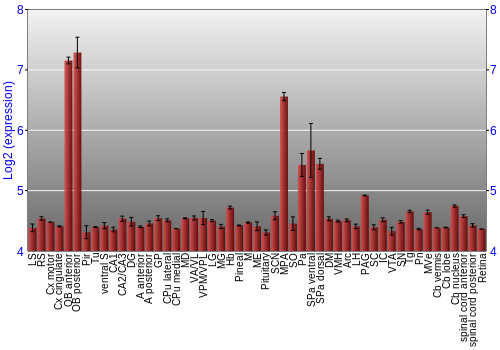 Expression graph