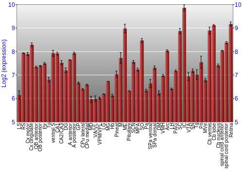 Expression graph