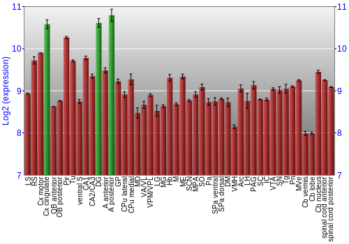 Multi-state expression graph