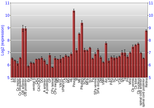 Expression graph
