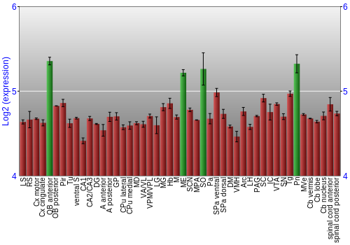 Multi-state expression graph