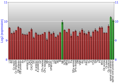 Multi-state expression graph