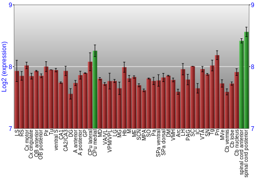 Multi-state expression graph