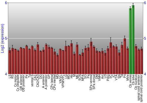 Multi-state expression graph