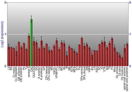 Multi-state expression graph