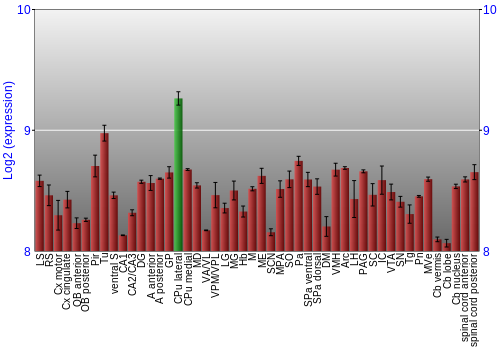 Multi-state expression graph