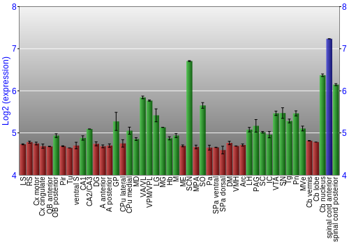 Multi-state expression graph
