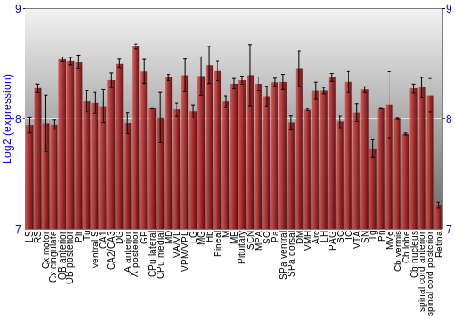 Expression graph