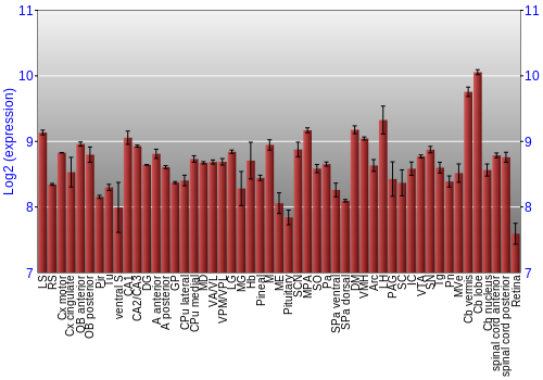 Expression graph