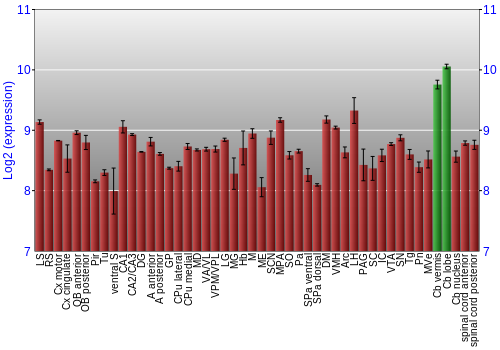 Multi-state expression graph