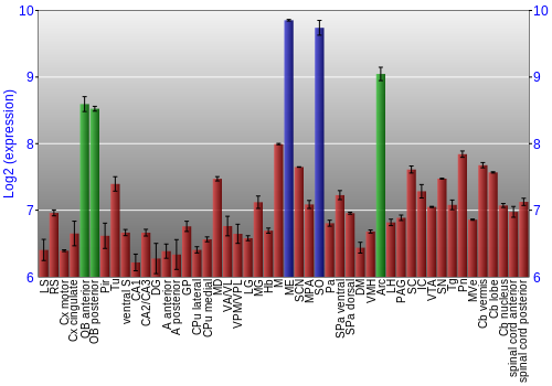 Multi-state expression graph
