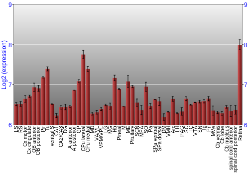Expression graph