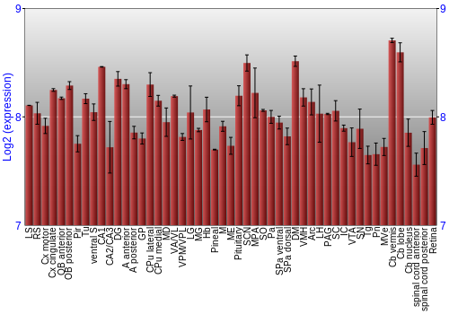 Expression graph