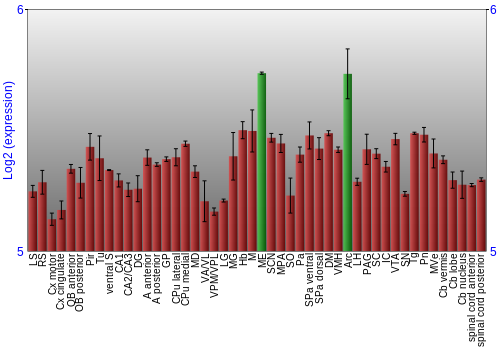 Multi-state expression graph