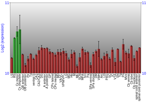 Multi-state expression graph