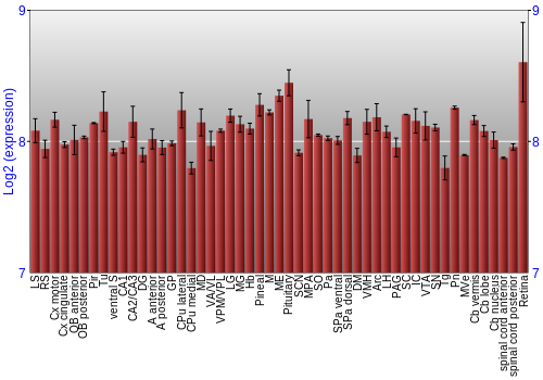 Expression graph