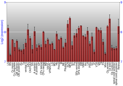 Expression graph