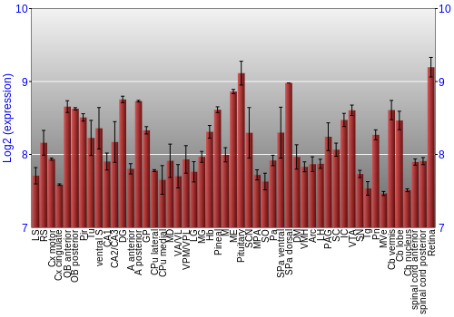 Expression graph