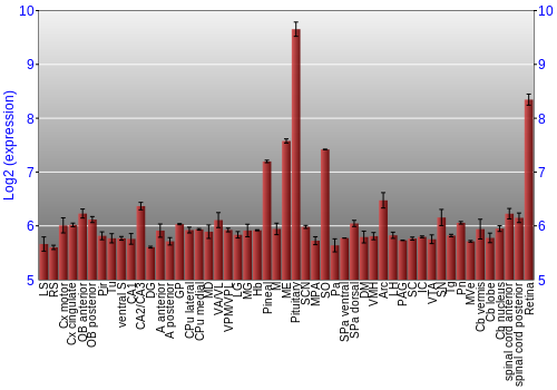 Expression graph