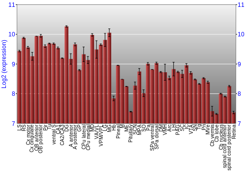 Expression graph