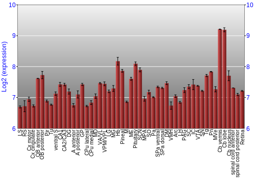 Expression graph