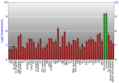 Multi-state expression graph