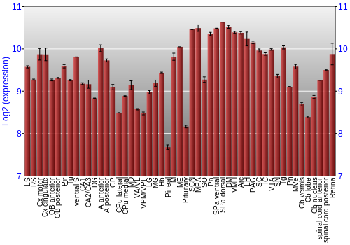Expression graph